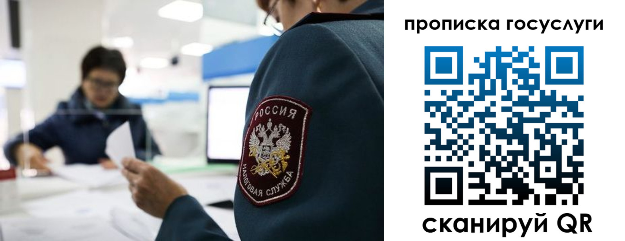 регистрация для школы в Петушках